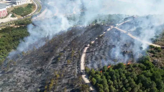 Gebze'deki orman yangını kontrol altına alındı