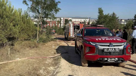 Gebze'deki orman yangını kontrol altına alındı