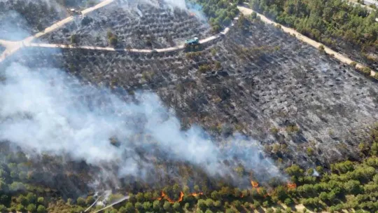 Gebze'deki orman yangını kontrol altına alındı