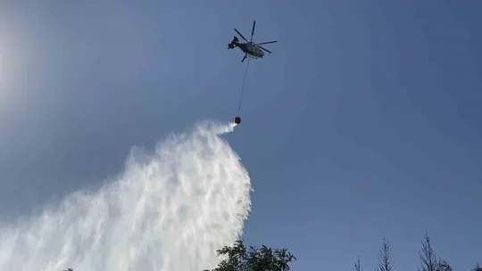 Gebze'deki orman yangını kontrol altına alındı