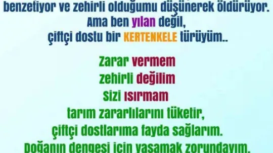Gerçek bir hayvansever