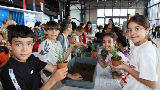 3 milyon ağaç kesilmekten kurtarıldı