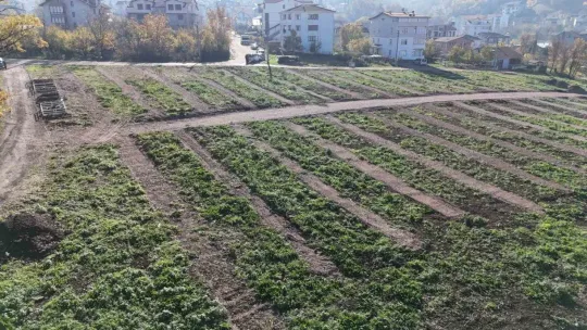 Kocaeli'de yeni mezarlık alanları hazırlandı