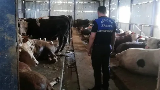 Gölcük'te bayram öncesi gerekli tüm tedbirler alındı