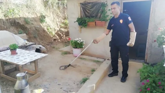Gölcük'te bir evin bahçesindeki tandıra giren yılan korkuttu!