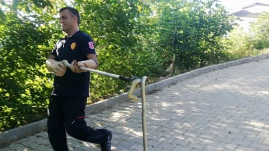Gölcük'te bir evin bahçesindeki tandıra giren yılan korkuttu!