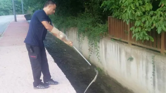 Gölcük'te bir evin bahçesindeki tandıra giren yılan korkuttu!