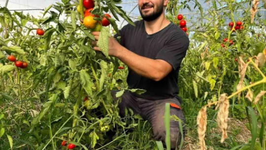 Gönül gözüyle seradan şampiyonalara