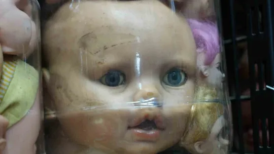 Görenleri ürküten sıra dışı koleksiyon