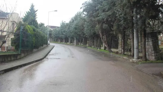 Göz göre göre köpeği ezmişti, o sürücü yakalandı
