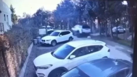 Göz göre göre köpeği ezmişti, o sürücü yakalandı