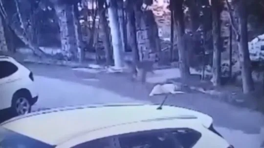 Göz göre göre köpeği ezmişti, o sürücü yakalandı
