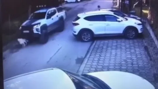 Göz göre göre köpeği ezmişti, o sürücü yakalandı