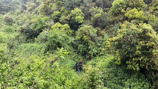 Günlerdir kayıptı, cesedi ormanlık alanda bulundu