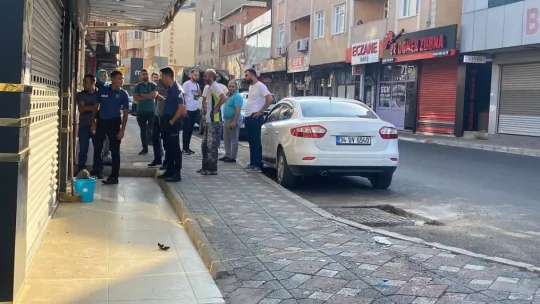 Güpegündüz cadde ortasında dehşeti yaşadılar