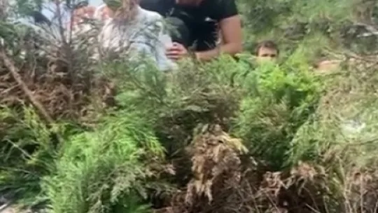 Aracın çarptığı ağaç üstüne devrildi: yaralı var