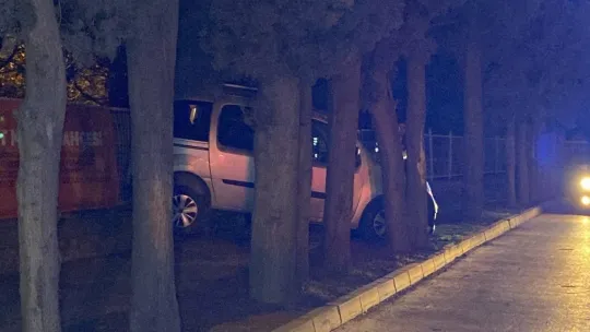Hafif ticari otomobil ağaçların arasına daldı