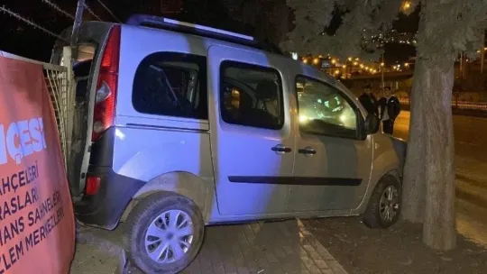Hafif ticari otomobil ağaçların arasına daldı