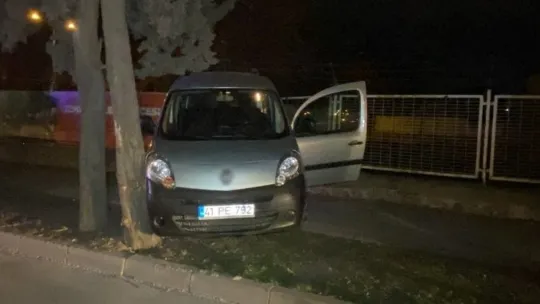 Hafif ticari otomobil ağaçların arasına daldı