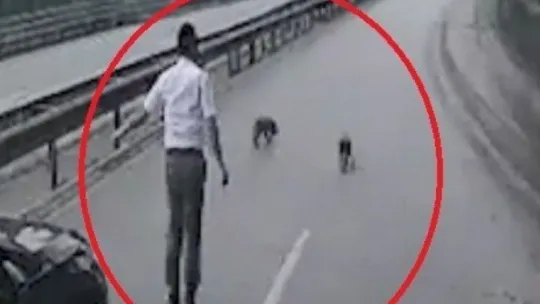 Halk otobüsü sürücüsü yavru köpekleri ezilmekten kurtardı