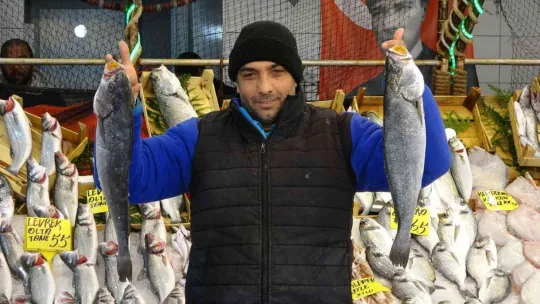 Hamsi 35 liraya düştü!