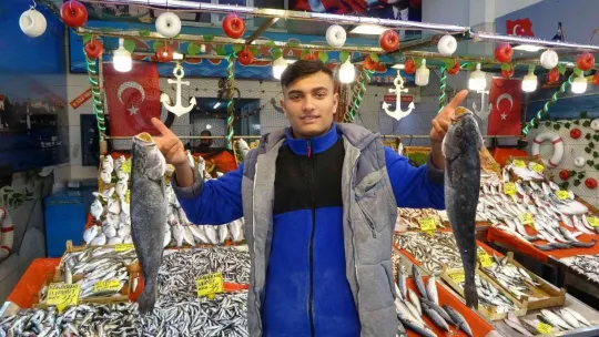 Hamsi 35 liraya düştü!