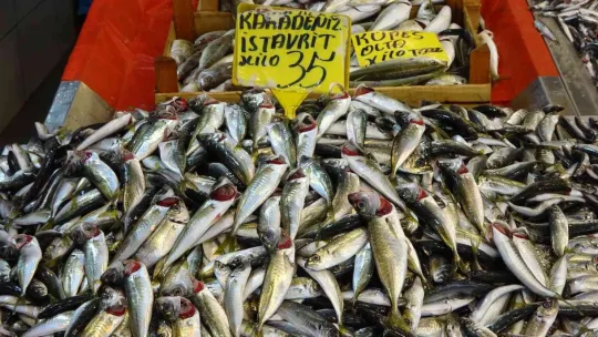 Hamsi 35 liraya düştü!