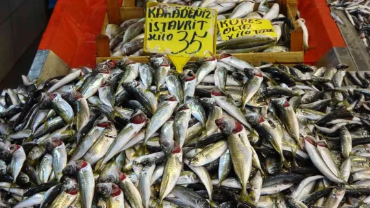 Hamsi 35 liraya düştü!
