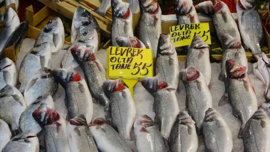 Hamsi 35 liraya düştü!