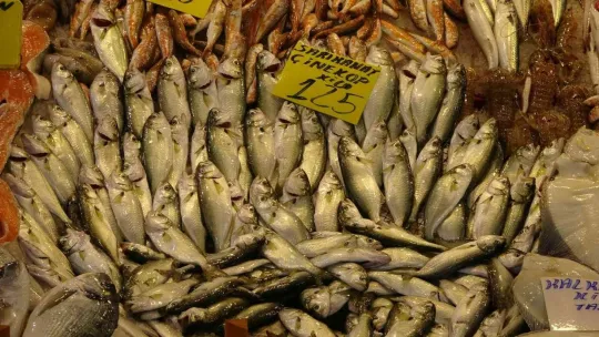 Hamsi 35 liraya düştü!