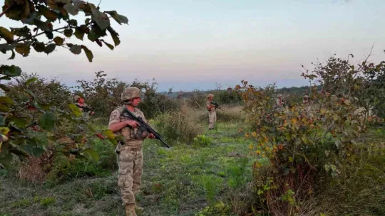 Hasat zamanı hırsızlara göz açtırılmıyor, komando birlikleri gece gündüz nöbet tutuyor