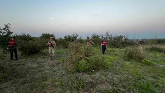 Hasat zamanı hırsızlara göz açtırılmıyor, komando birlikleri gece gündüz nöbet tutuyor