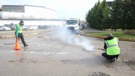 Kocaeli'de haşereler için her yer ilaçlanıyor