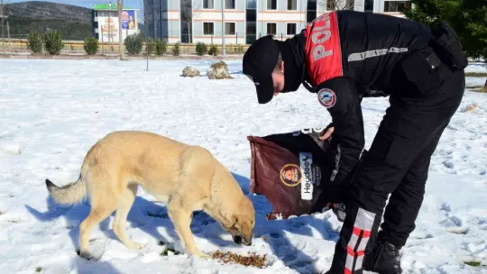 HAYDİ ekipleri sokaktaki canları unutmadı