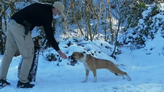 HAYDİ ekipleri sokaktaki canları unutmadı