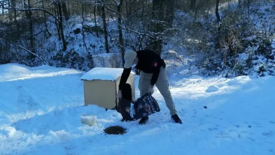 HAYDİ ekipleri sokaktaki canları unutmadı