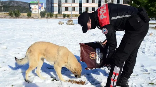 HAYDİ ekipleri sokaktaki canları unutmadı