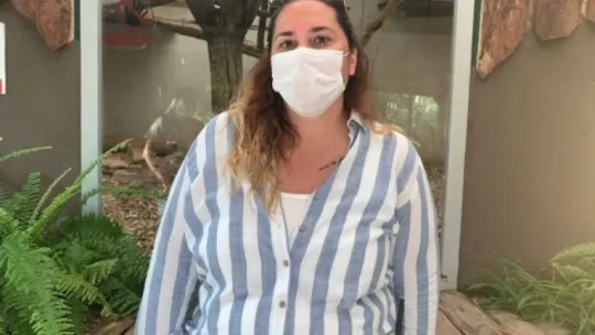Hayvanat bahçesinden firar eden maymun elektrik akımına kapılarak yaralandı!