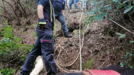 Hayvanı kurtaramayınca, çareyi kesmekte buldular!