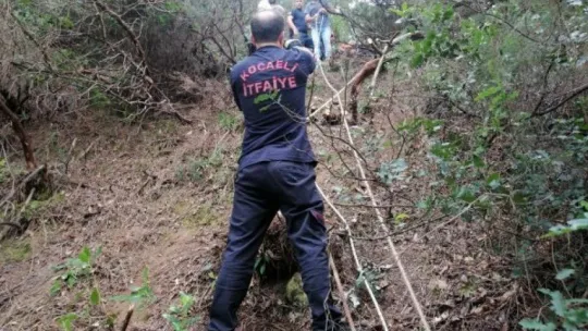 Hayvanı kurtaramayınca, çareyi kesmekte buldular!