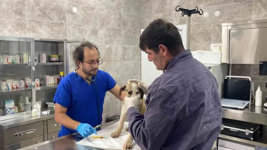 Hayvanseverler rehabilitasyon merkezine gitti, sosyal medyadaki iddialar yalanlandı
