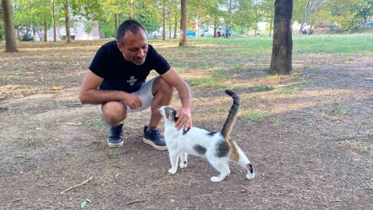 Her yerde onu arıyor: Bulana 10 bin TL verecek