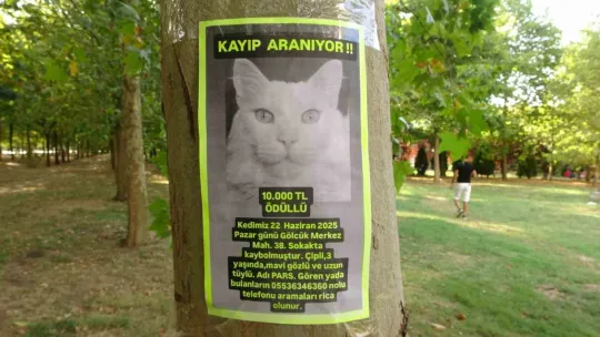 Her yerde onu arıyor: Bulana 10 bin TL verecek