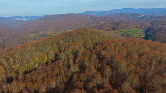 Herkesin sanayi şehri olarak bildiği Kocaeli'nin öteki yüzü