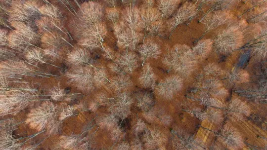 Herkesin sanayi şehri olarak bildiği Kocaeli'nin öteki yüzü