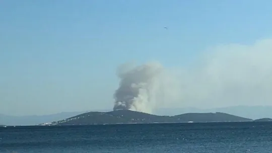 Heybeliada'da büyük yangın!