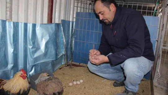 Hobi olarak başladığı ek işiydi, işsiz kalınca tek işi oldu