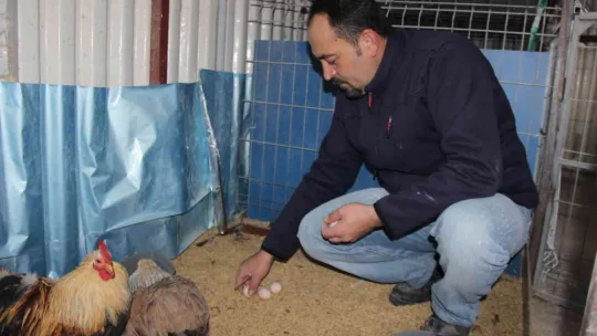 Hobi olarak başladığı ek işiydi, işsiz kalınca tek işi oldu