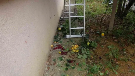 Hurma toplarken beton zemine düştü