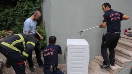 İçine giren yılanı çıkarmak için çamaşır makinesini parçaladılar